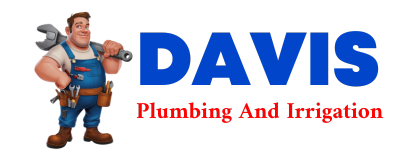 Trusted plumber in MEDORA